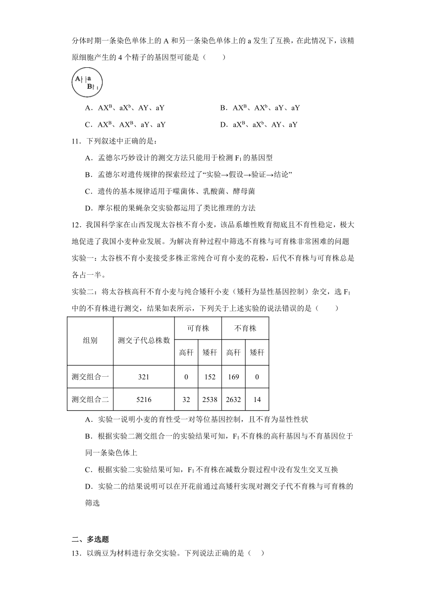 2.2基因伴随染色体传递同步练习2023-2024学年高一生物浙科版（2019）必修二（解析版）