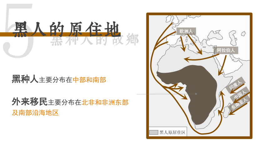 《撒哈拉以南的非洲》同步课件-第八章第三节