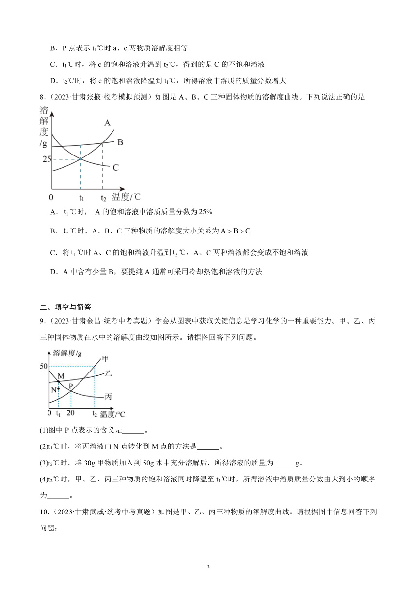 2024年甘肃省中考化学一轮复习—溶液(含解析)