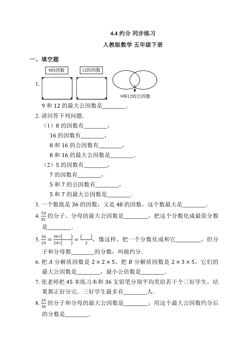 4.4 约分 同步练习 人教版数学 五年级下册（含答案）