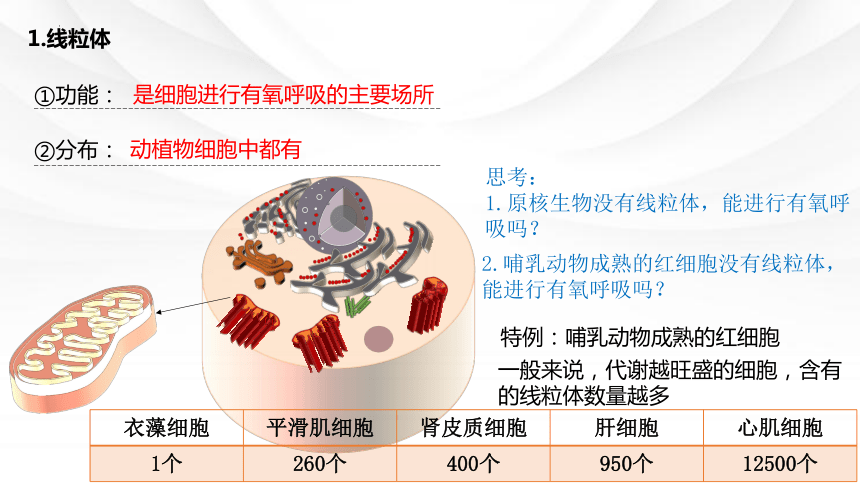 3.2细胞器之间的分工合作课件（共36张PPT） 人教版必修1