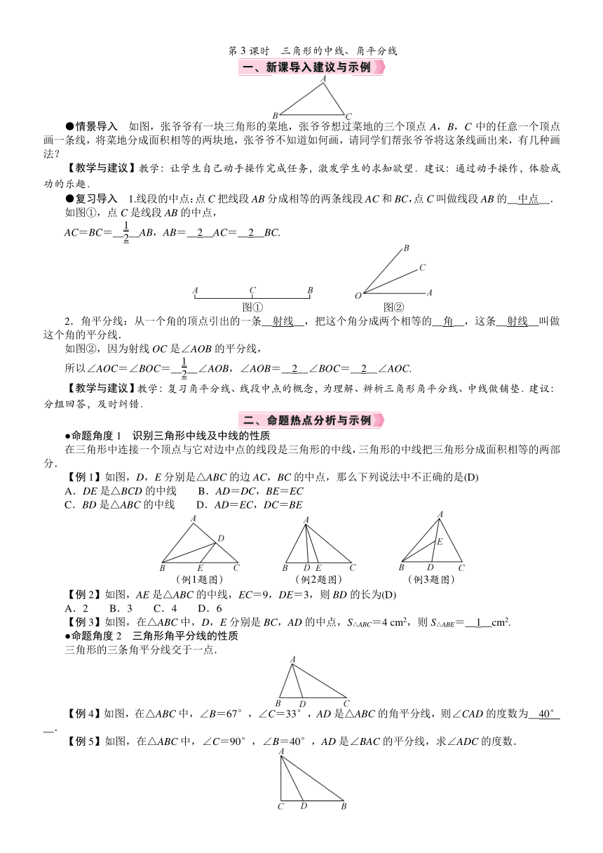 北师大版数学七年级下册4.1.3　三角形的中线、角平分线教案