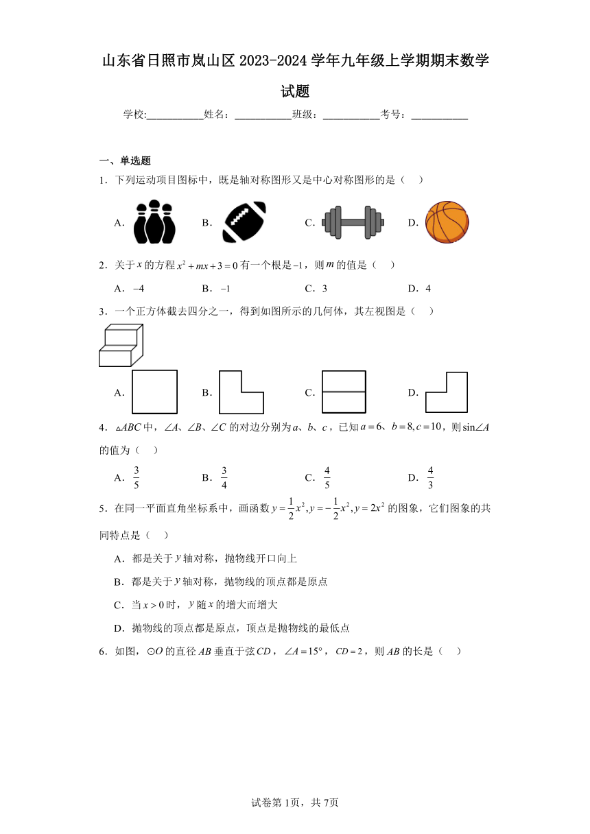 山东省日照市岚山区2023-2024学年九年级上学期期末数学试题（含解析）