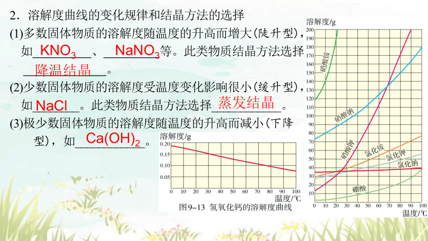 第九单元课题2课时2 溶解度课件-2023-2024学年九年级化学人教版下册