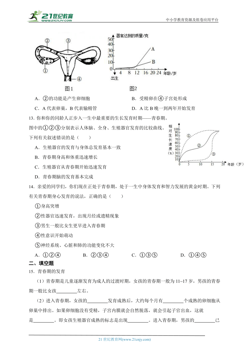 浙教版科学 七下1.2 走向成熟同步练习（含解析）