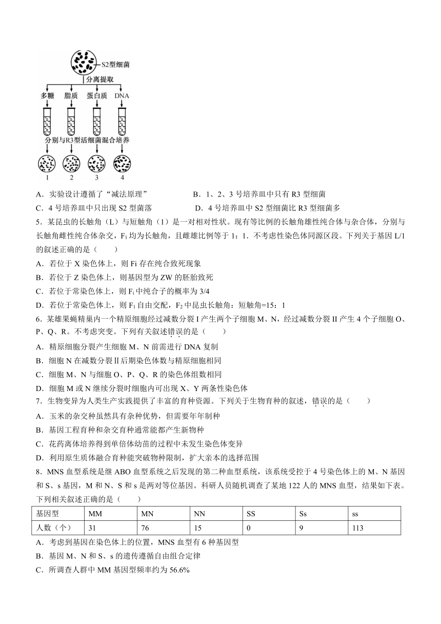 江西省宜春市2023-2024学年高三上学期1月质量检测生物学试题（含答案）