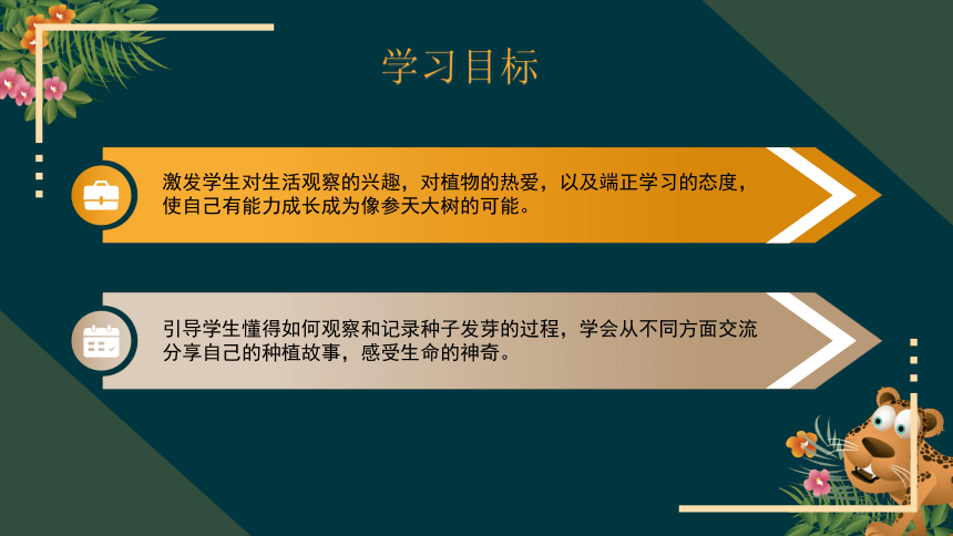 统编版二年级下册1.4《试种一粒子》第三课时《我们的收获》教学课件（共17张PPT）