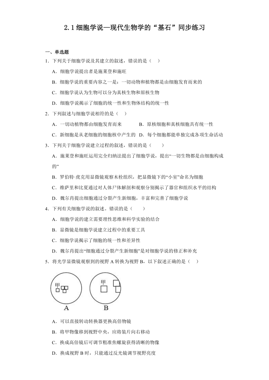 2.1细胞学说—现代生物学的“基石”同步练习2023-2024学年高一上学期生物苏教版必修1（解析版）