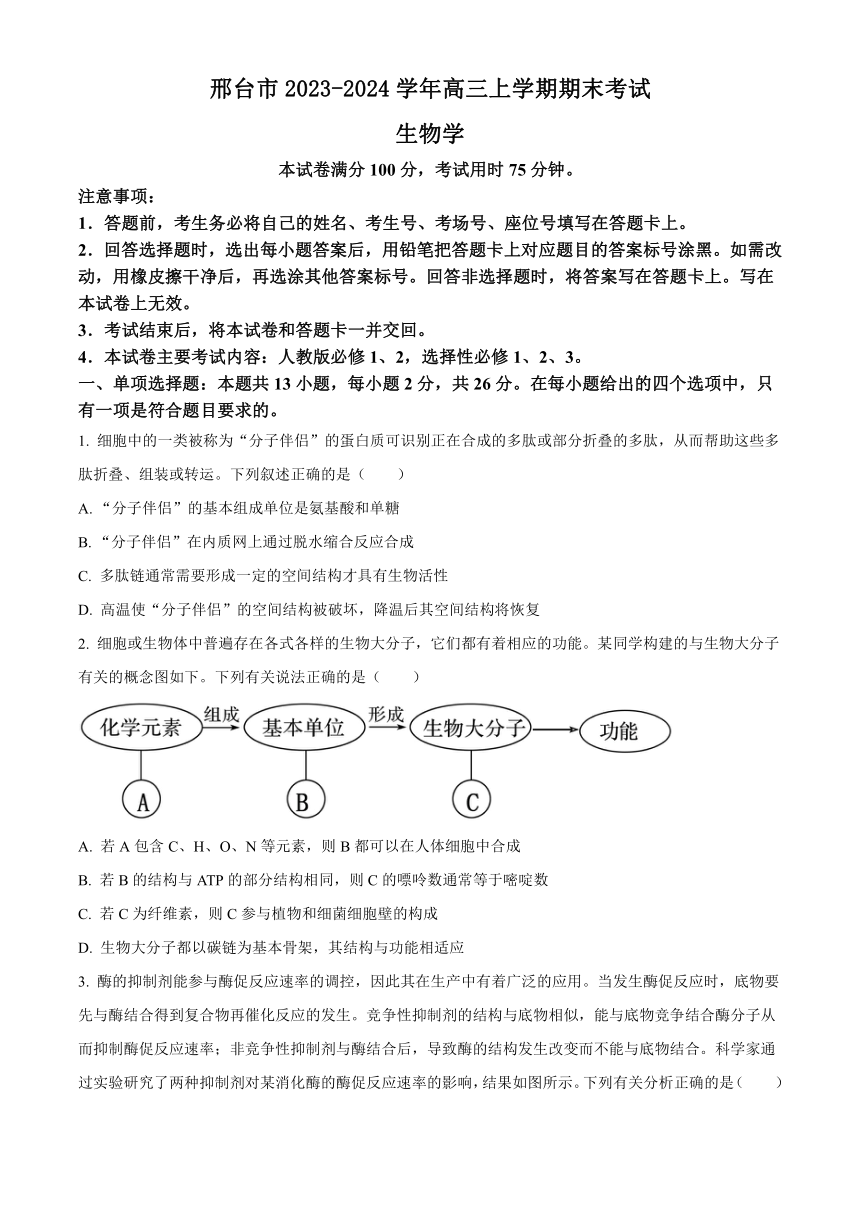 河北省邢台市2023-2024学年高三上学期期末考试生物学试题（原卷版+解析版）