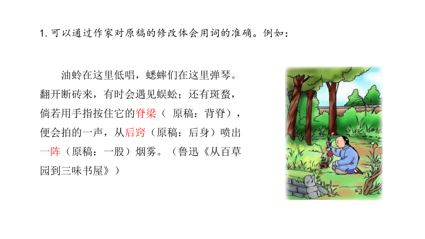 第八单元 学习活动 三 词义的辨析和词语的使用 课件（共25张PPT） 2023-2024学年高一语文部编版必修上册