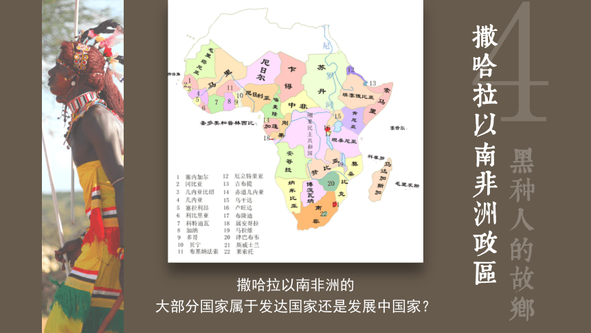 《撒哈拉以南的非洲》同步课件-第八章第三节