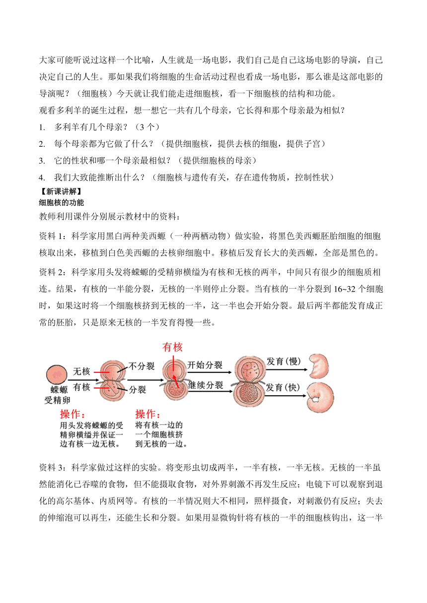 3.3细胞核的结构和功能的教案