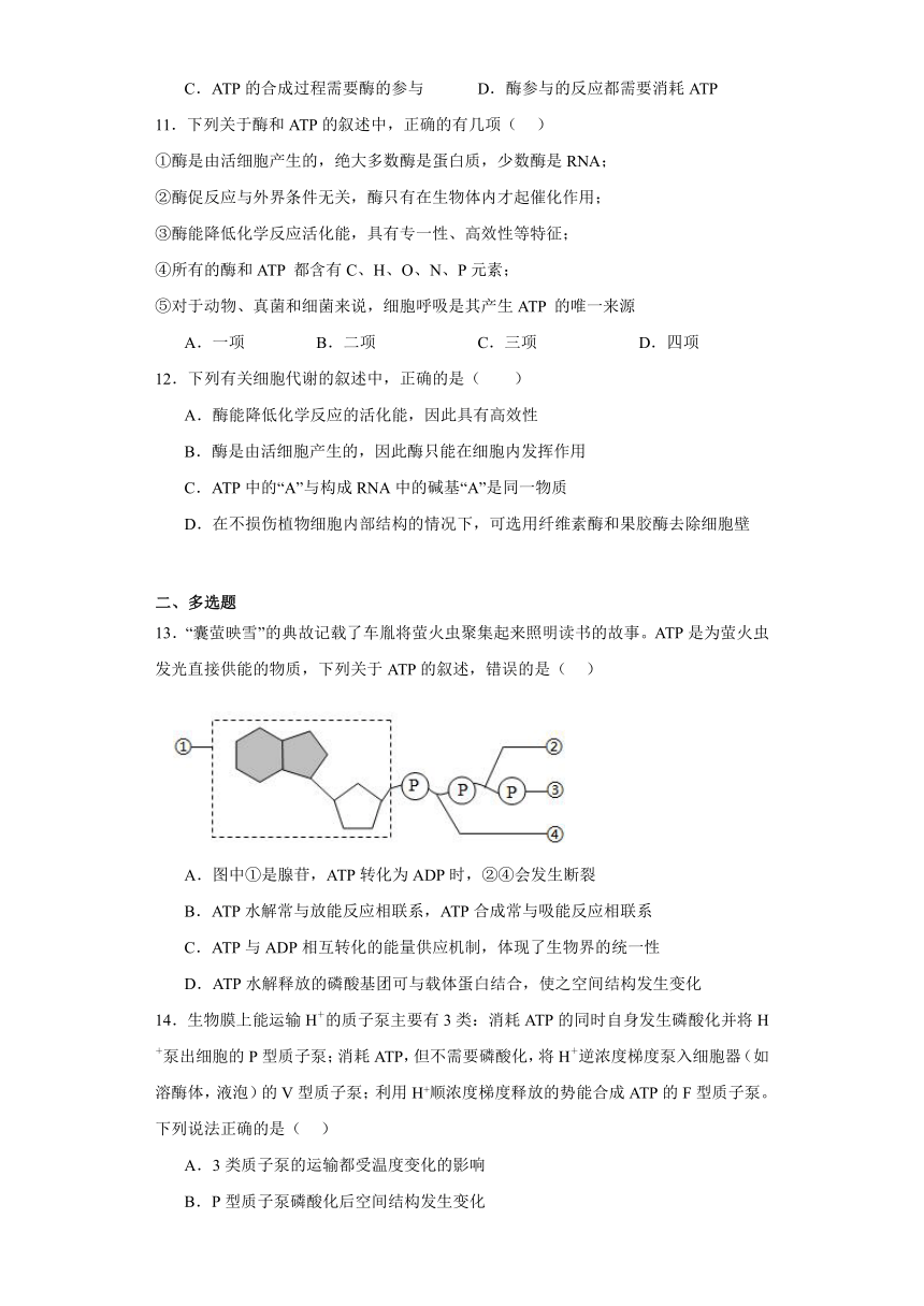 5.2细胞的能量“货币”ATP同步练习（含解析）2023-2024学年高一上学期生物人教版必修1