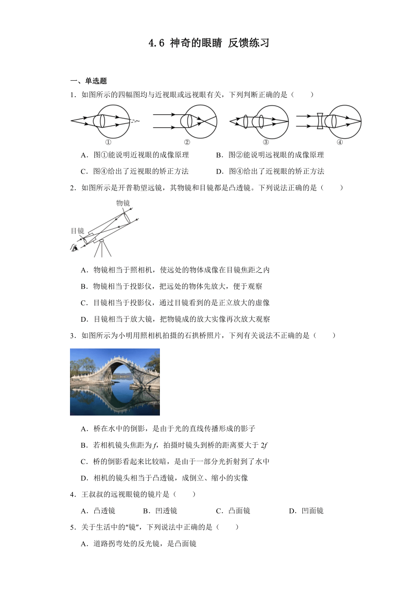 4.6神奇的眼睛反馈练习2023-2024学年沪科版八年级物理全一册（文字版含答案）