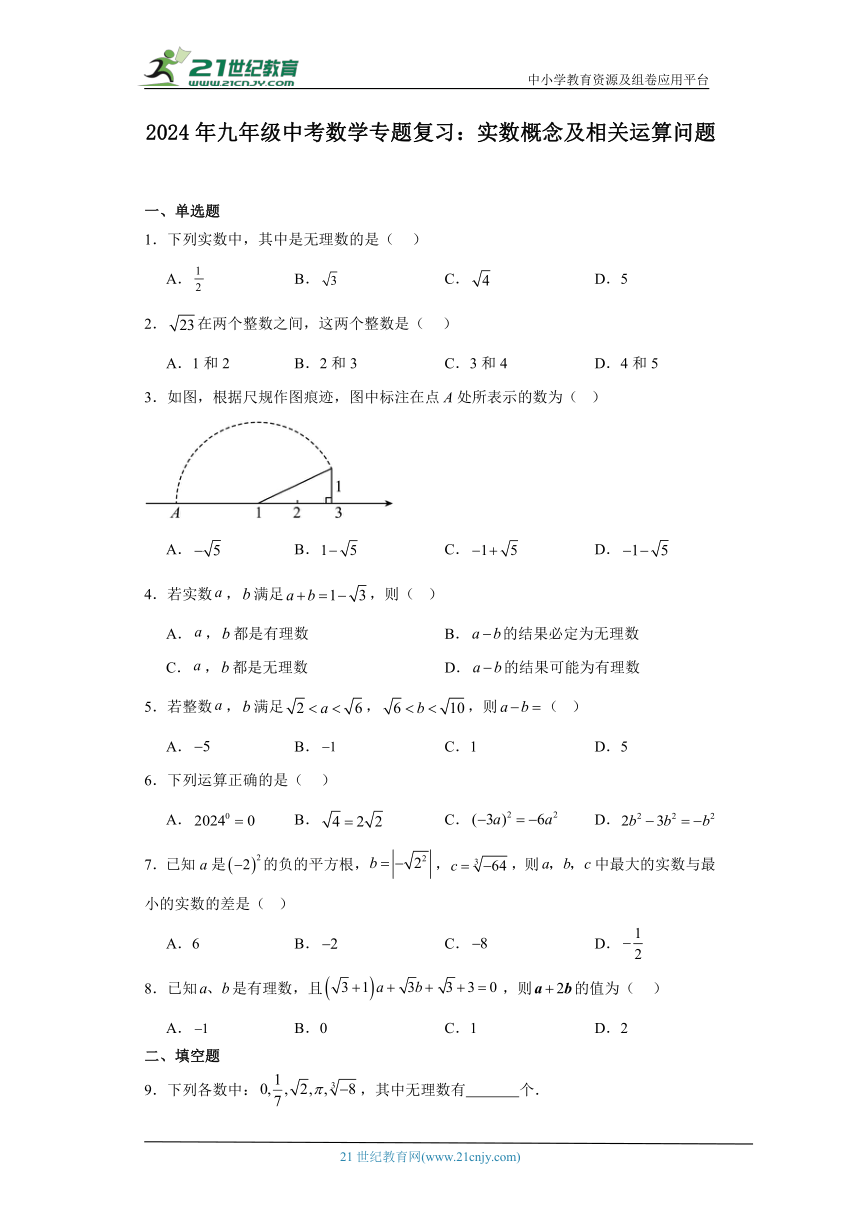 2024年九年级中考数学专题复习：实数概念及相关运算问题（含解析）