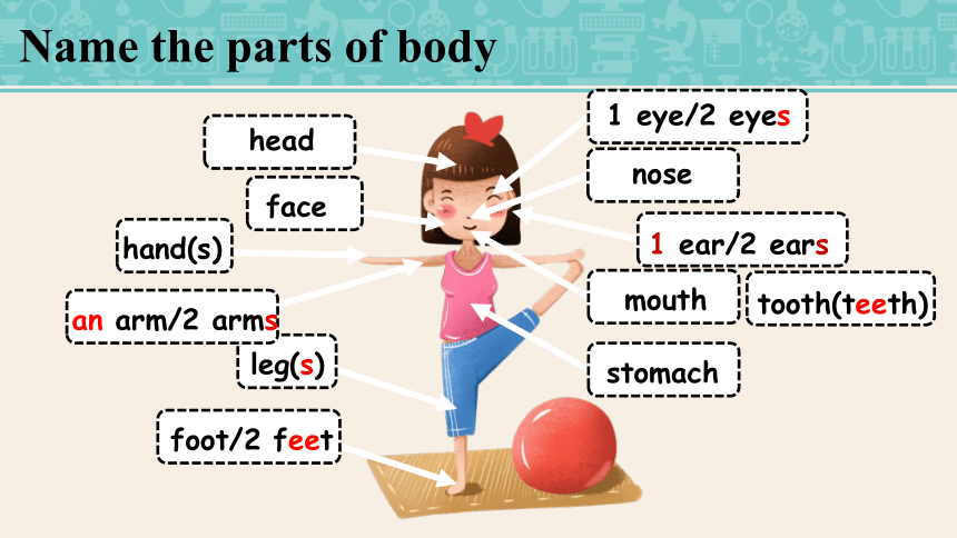 Unit 1 What's the matter? Section A 1a-2c 课件（共27张PPT，含内嵌音频） 2022-2023学年 ...