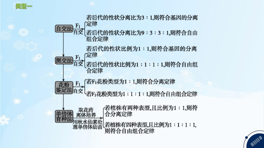 高考生物二轮复习微专题3　遗传实验分析与设计(共51张PPT)