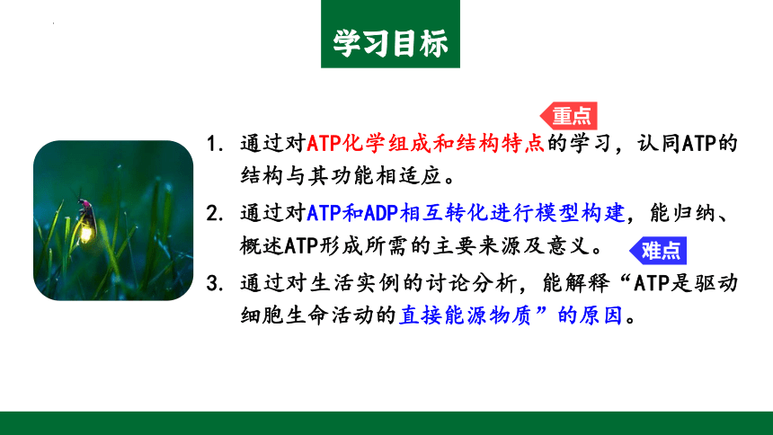 第五章第二节细胞的能量货币ATP(共22张PPT)课件-人教版2019必修1