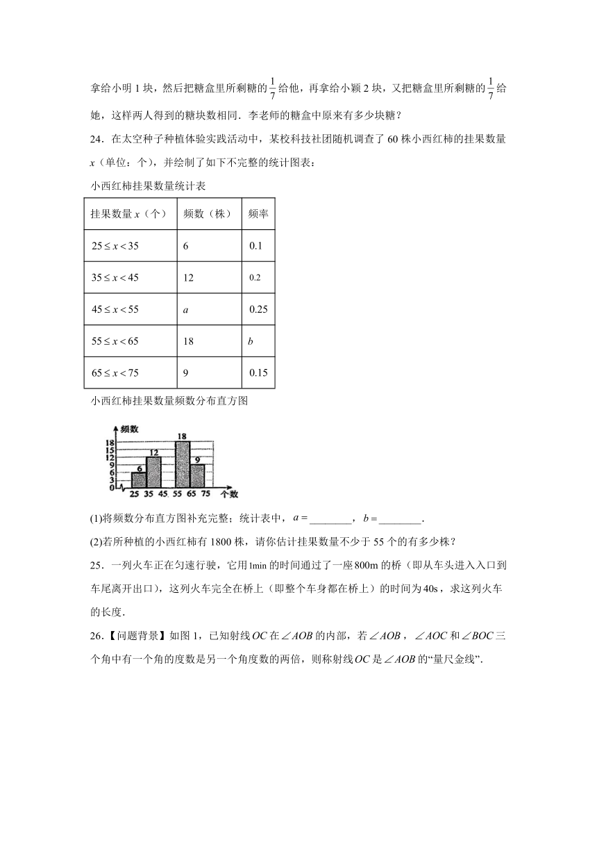 陕西省汉中市南郑区2023-2024学年七年级上学期期末数学试题(含解析)