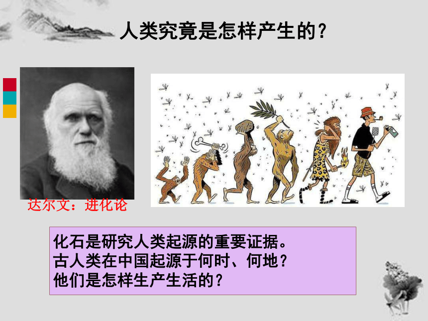 第1课 中国境内早期人类的代表—北京人 课件（19张PPT）