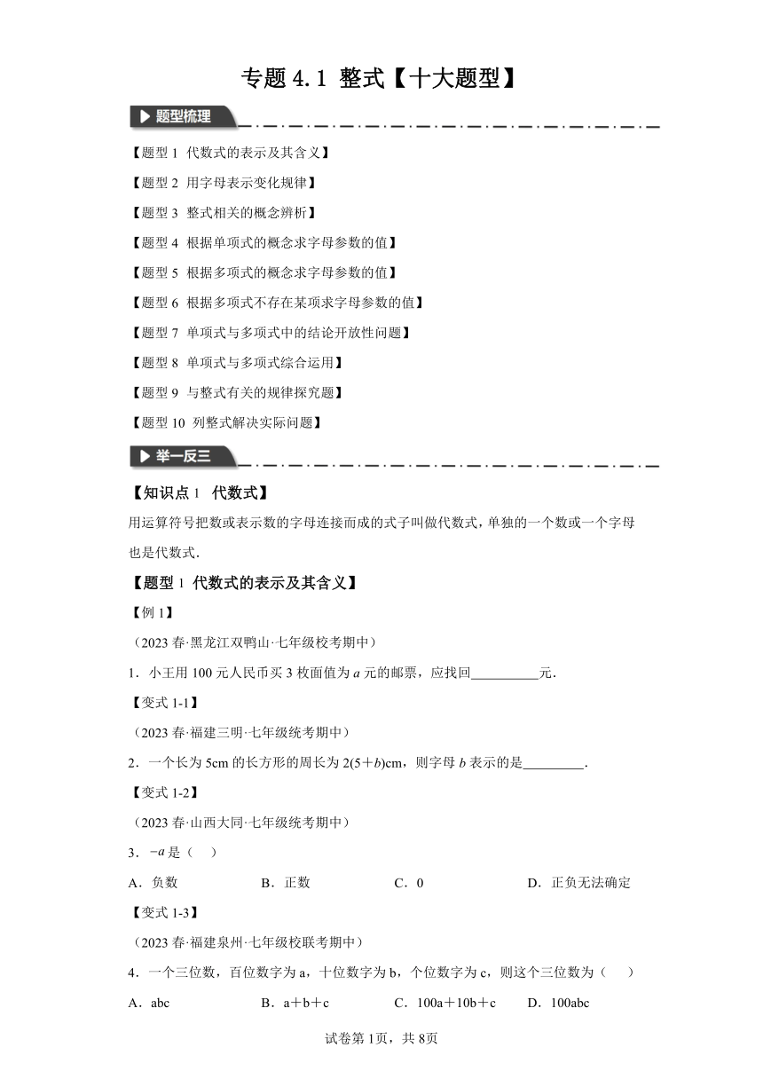 专题4.1整式【十大题型】（含解析） 七年级数学上册举一反三系列（浙教版）