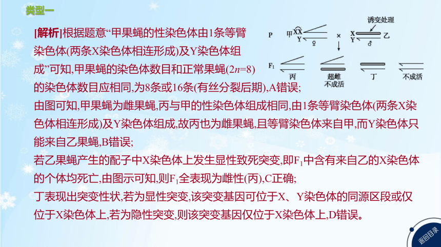 高考生物二轮复习微专题5　遗传、变异与细胞分裂的综合应用(共25张PPT)