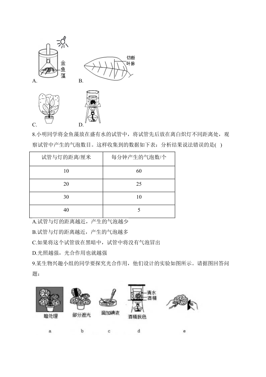 07 光合作用的相关实验——2023-2024学年七年级生物上册人教版教材实验突破（表格式含解析）