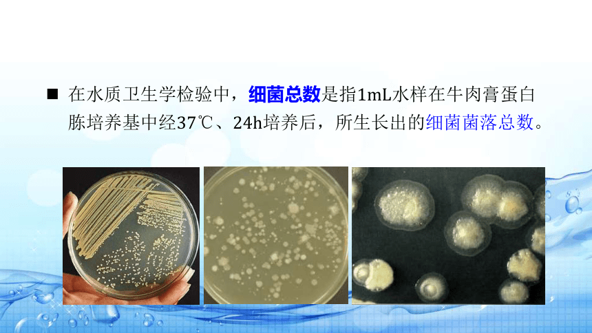 2.9细菌菌落总数的测定 课件(共21张PPT)-《水环境监测》同步教学（高教版）