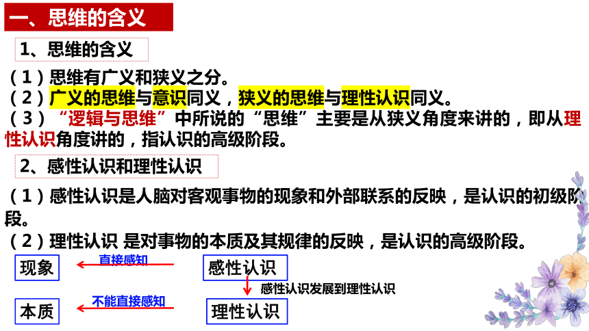 1.1思维的含义与特征 课件（共13张ppt）政治统编版选择性必修三