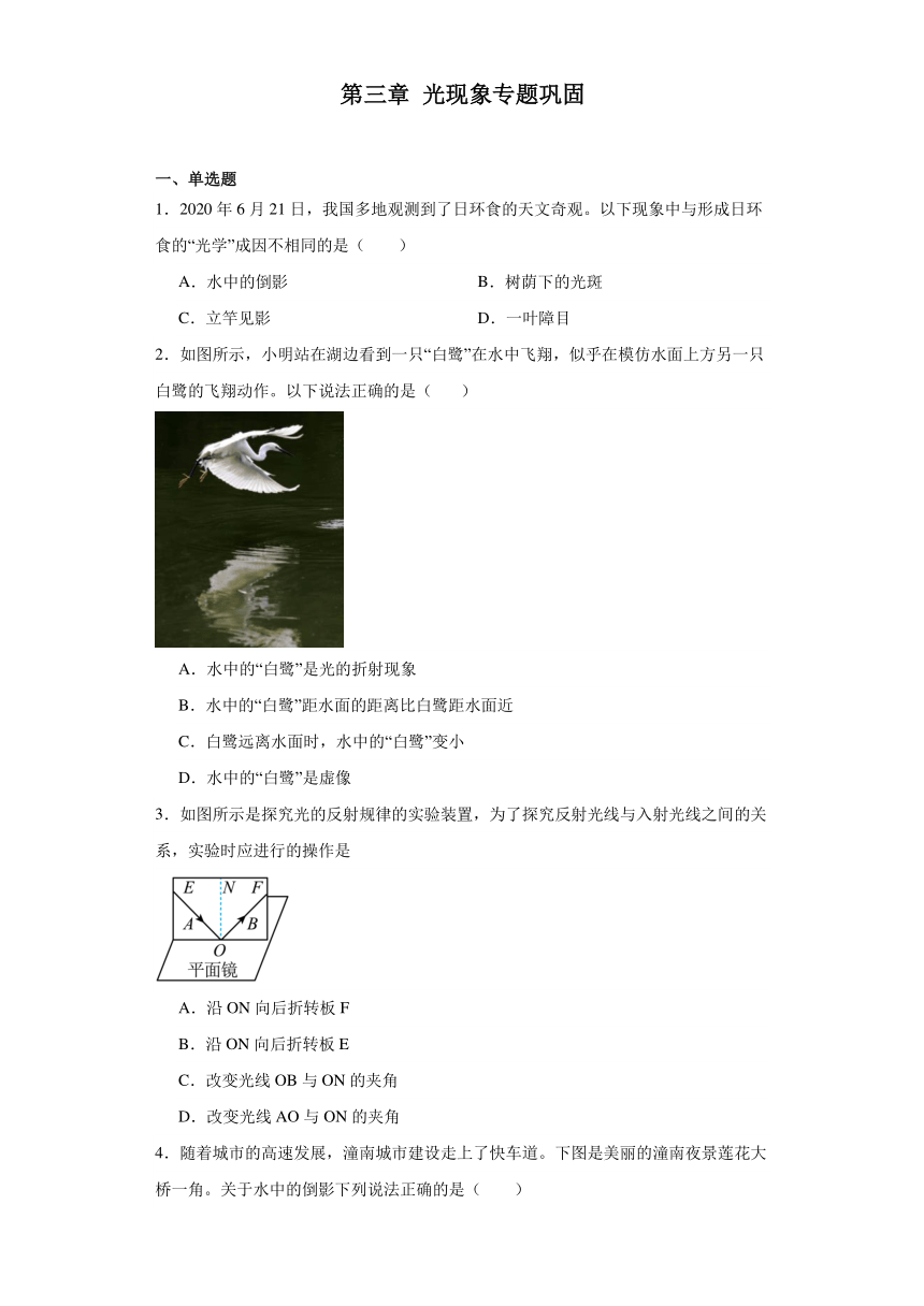 第三章光现象专题巩固--2023~2024学年苏科版物理八年级上册（文字版含答案解析）