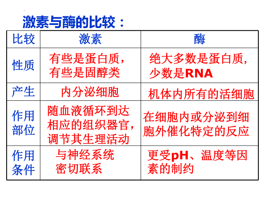 3.1 激素与内分泌系统(共35张PPT)课件--人教版2019选择必修1