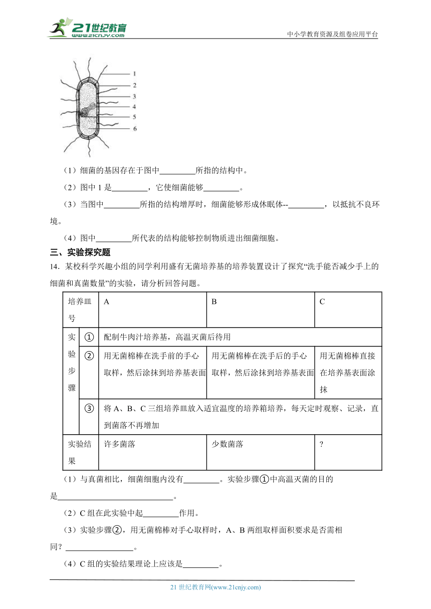 浙教版科学 七下1.6细菌和真菌的繁殖同步练习（优生加练）（含解析）