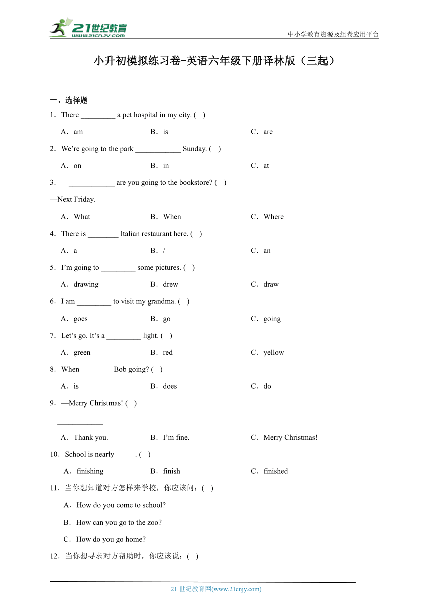 小升初模拟练习卷-英语六年级下册译林版（三起）（含答案）
