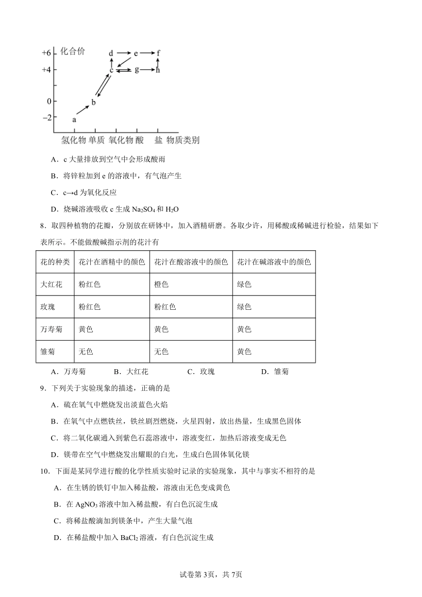 第十单元酸和碱单元训练题（含答案）　-2023-2024学年 九年级化学人教版下册