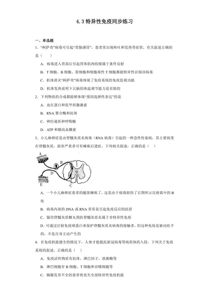 4.3特异性免疫同步练习2023-2024学年高二上学期生物北师大版选择性必修1（解析版）