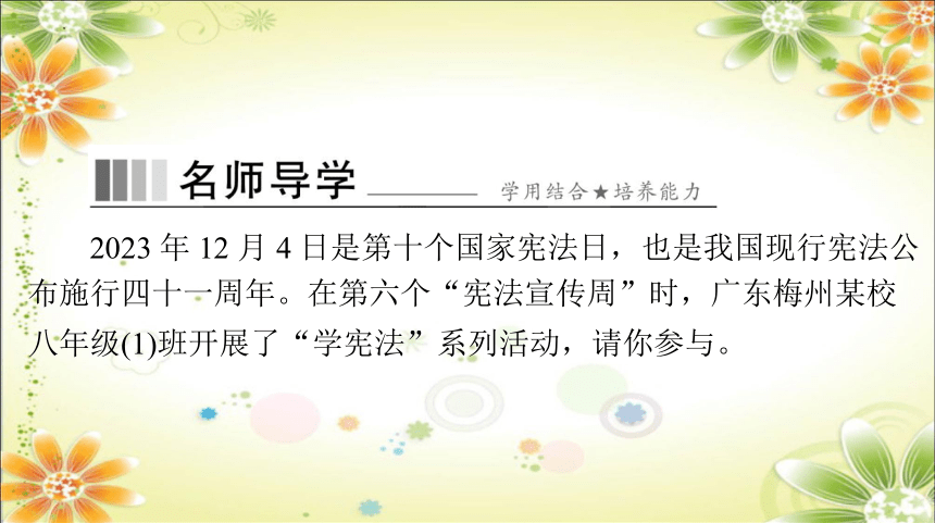 2.2 加强宪法监督 学案课件(共32张PPT)-2023-2024学年统编版道德与法治八年级下册