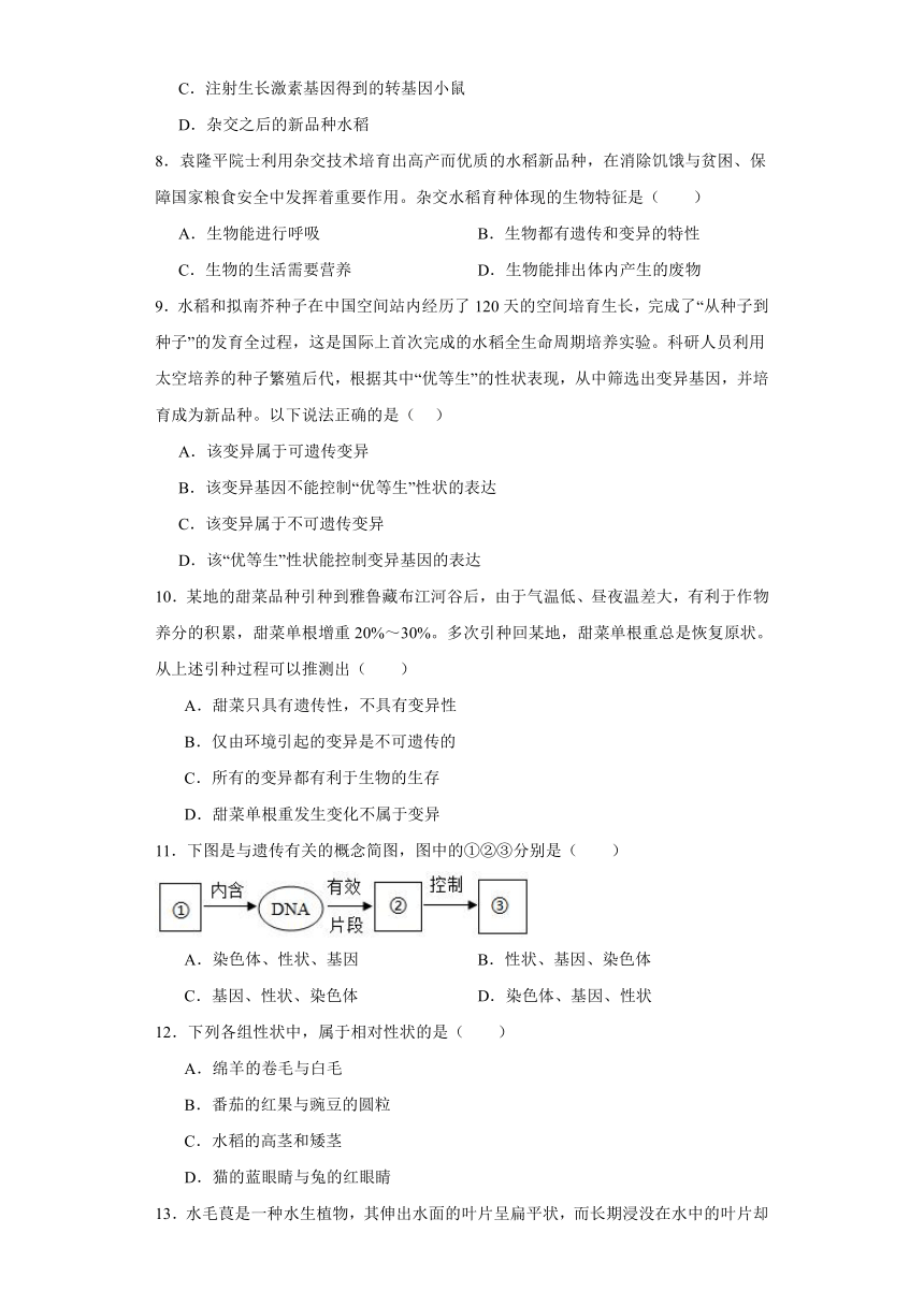 2024年中考生物专题复习：生物的遗传和变异（含答案）