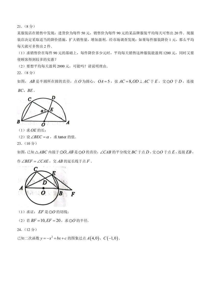 山东省聊城市冠县2023-2024学年九年级上学期期末数学试题（含答案）