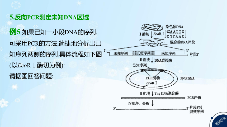 高考生物二轮复习微专题9　PCR技术的热点考法归纳及融合基因的原理和应用(共31张PPT)