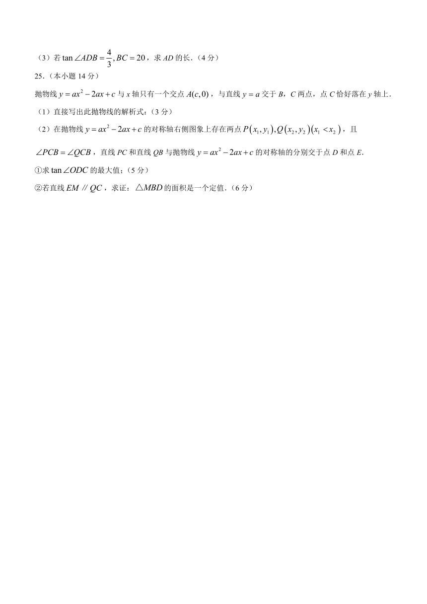 福建省泉州第一中学2023-2024学年九年级上学期期末数学试题（含答案）