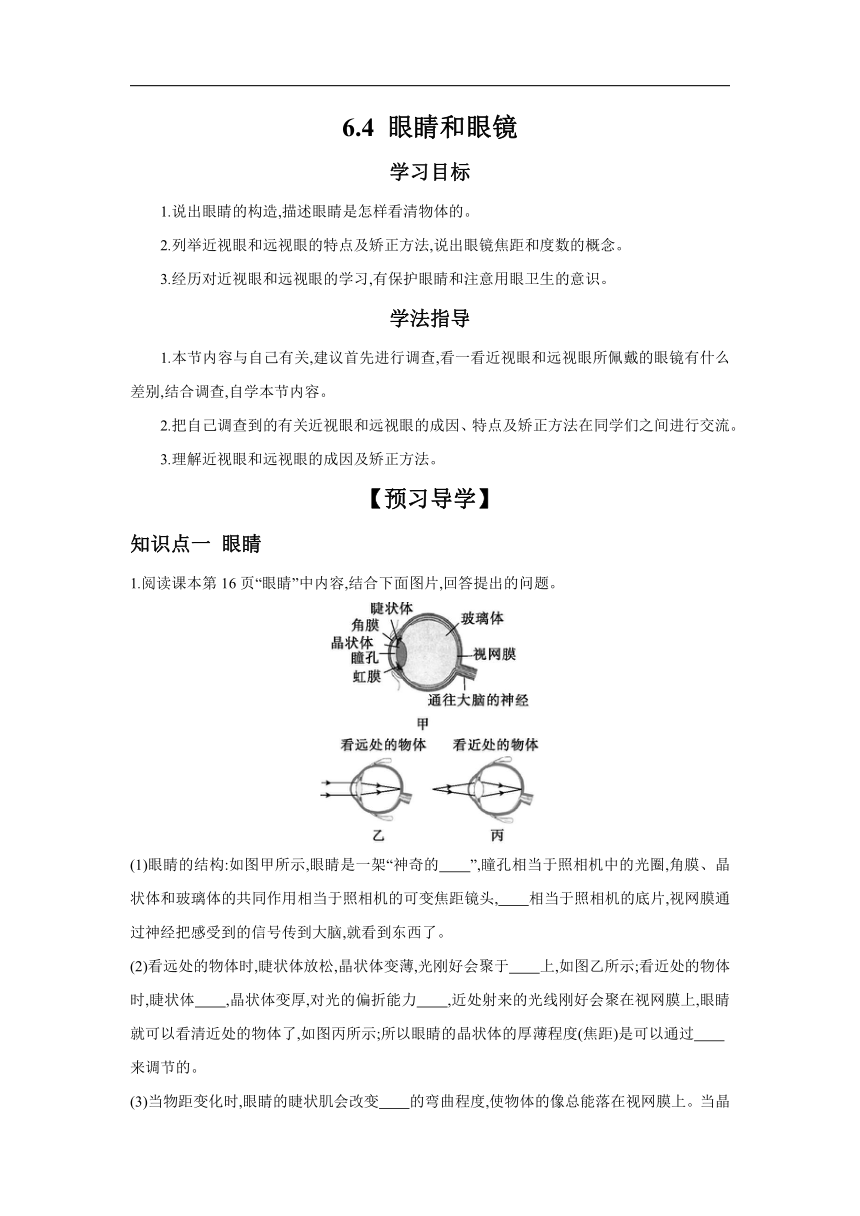 6.4眼睛和眼镜 学案（含答案）2023－2024学年北师大版物理八年级下册