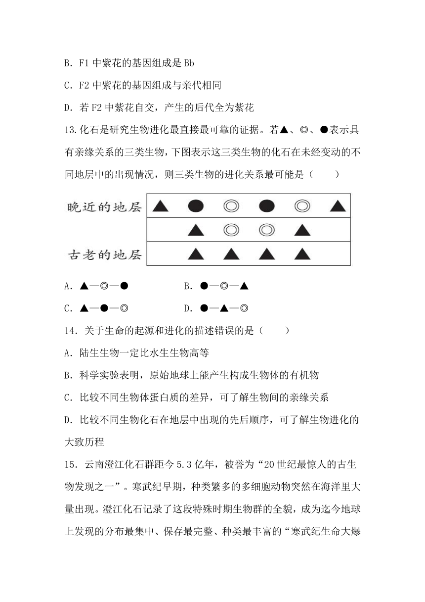 7.3 生命起源和生物进化 单元测试卷（含答案）人教版生物八年级下册