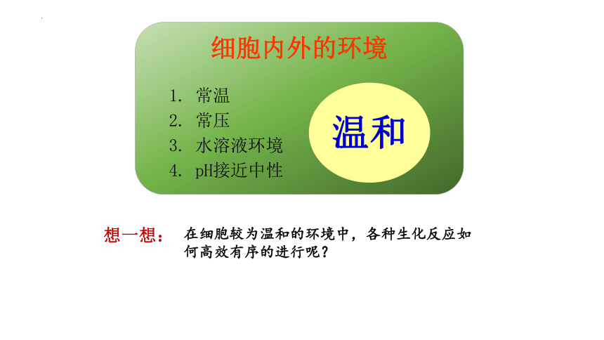 5.1 降低化学反应活化能的酶（课件）（共55张PPT2个视频）-人教版2019必修1