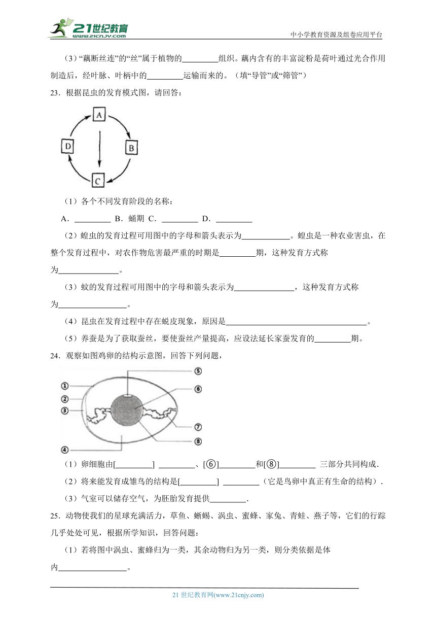 2024年生物中考人教版一轮复习基础知识训练卷24生物的生殖和发育（含解析）