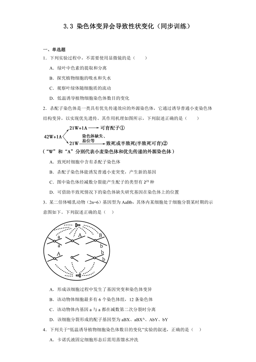 3.3染色体变异会导致性状变化（同步训练）-2023-2024学年高一生物（沪科版2020必修2）（解析版）