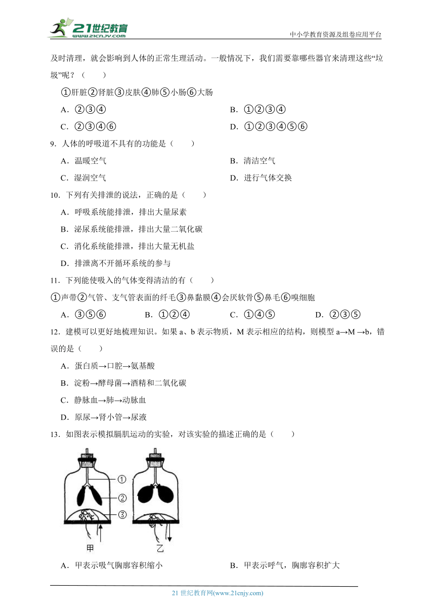 冀少版七年级下册2.3健肺强肾 精力充沛综合题（含解析）