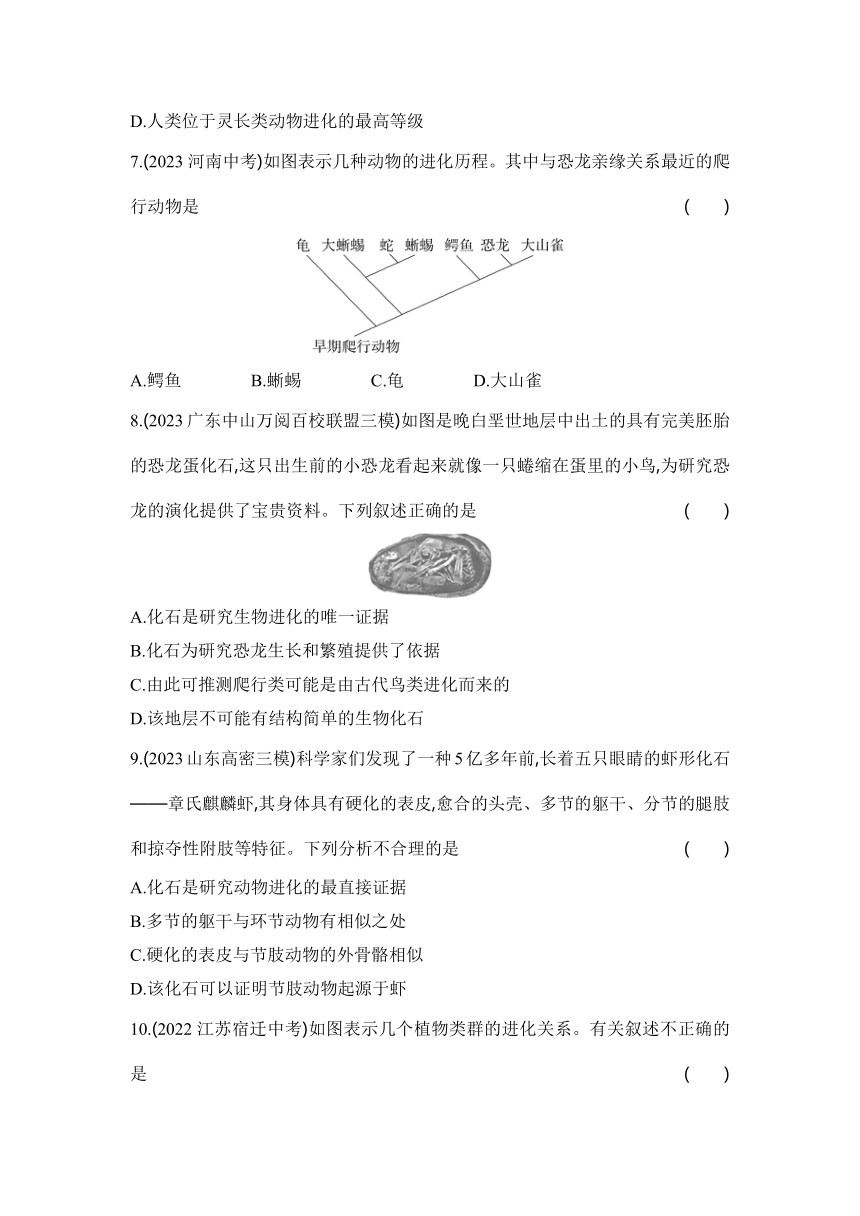 7.3.2生物进化的历程同步练习（含解析）人教版八年级下册生物