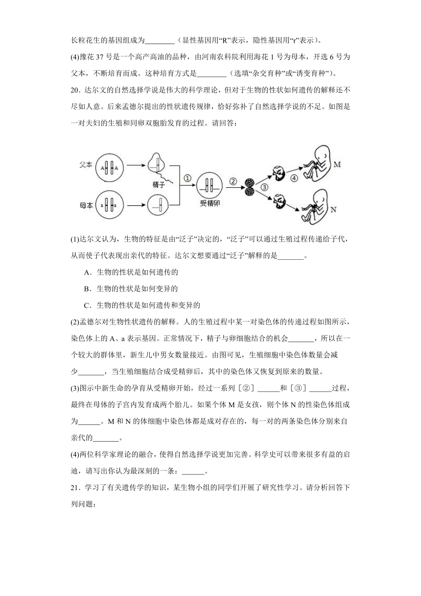 2024年中考生物专题复习：生物的遗传和变异（含答案）