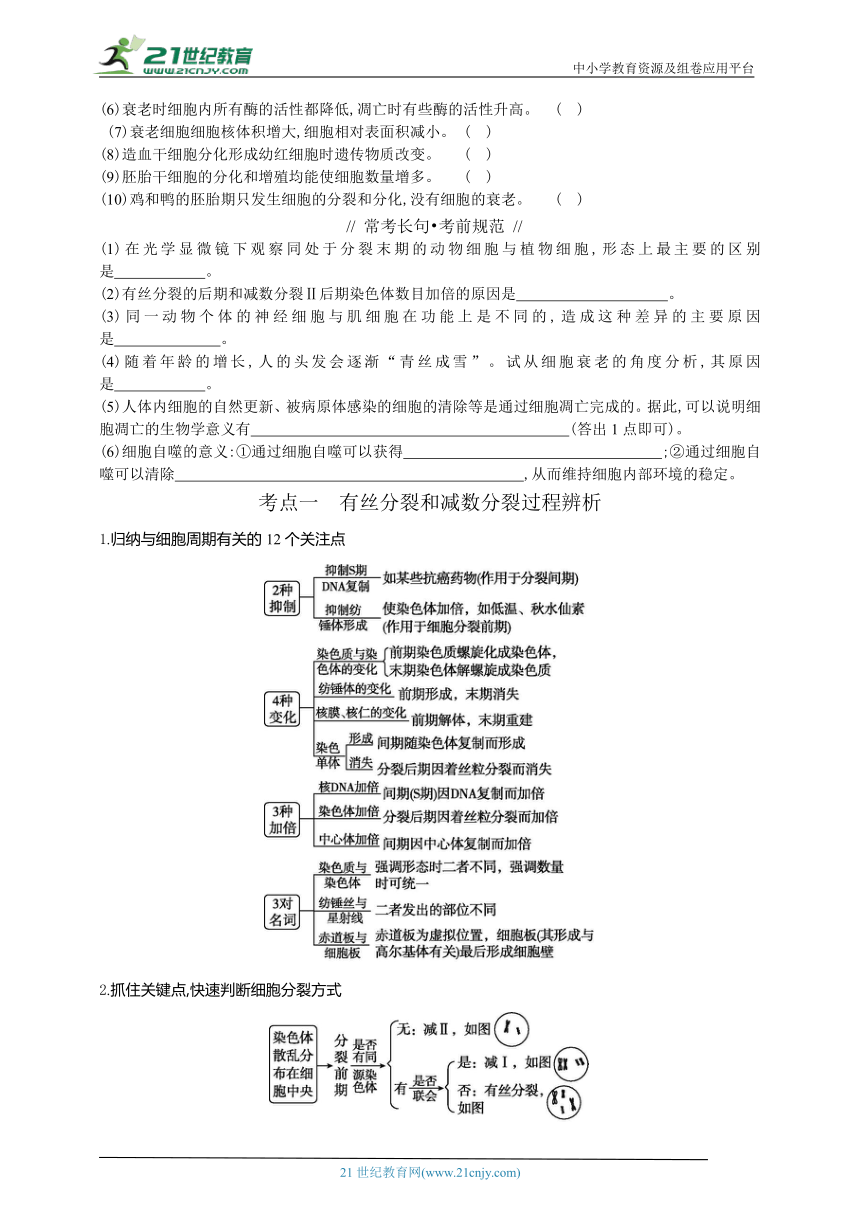 高考生物二轮复习专题学案：4 细胞的生命历程（含解析）