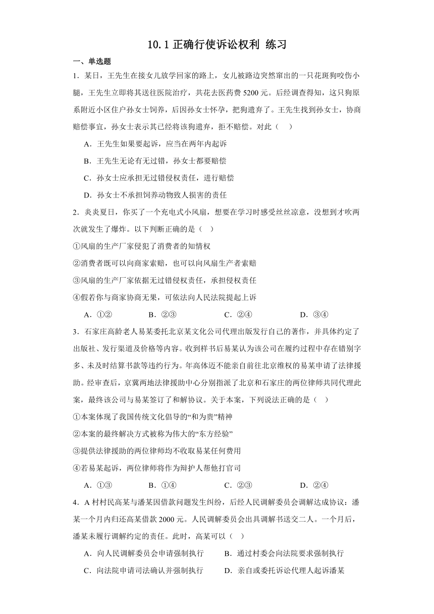 10.1正确行使诉讼权利 练习（含解析）-2023-2024学年高中政治统编版选择性必修二